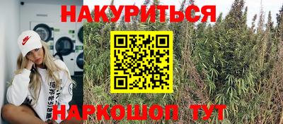 спайс Будённовск